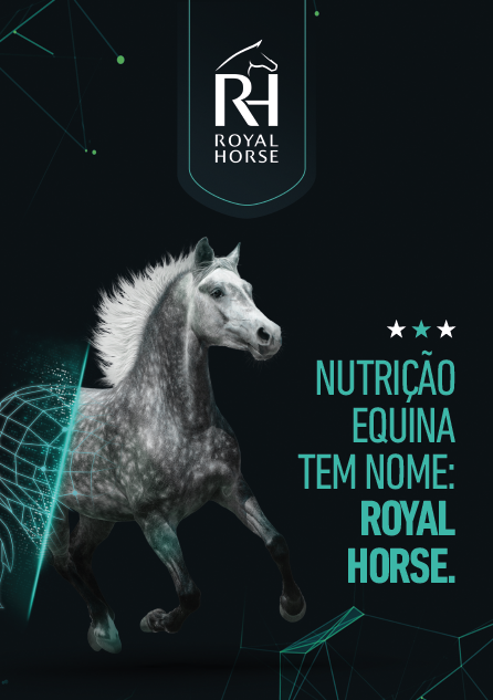 Catálogo